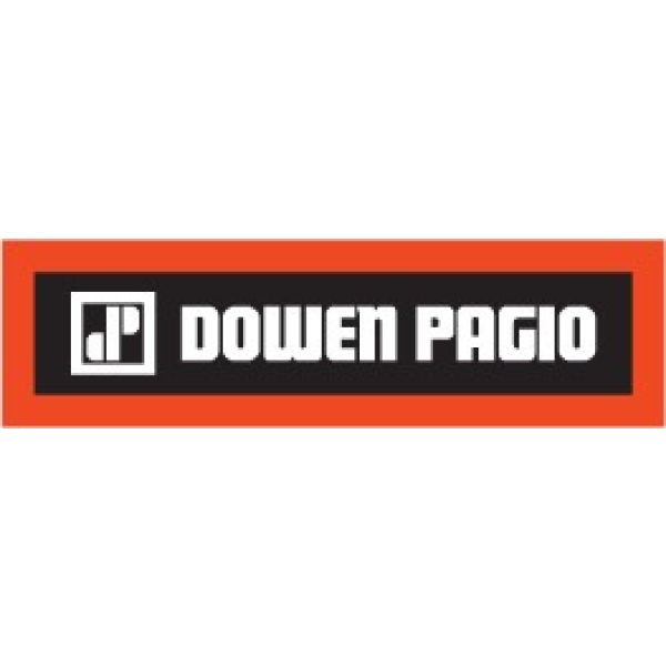 Cepillo Electrico Carpintero Garlopa 850 Watts Dowen Pagio - Imagen 2