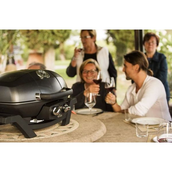 Parrilla Portatil Carbon Barbacoa Napoléon A Gas Kirkor - Imagen 7