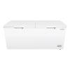 Freezer Horizontal Xion 690 Lt Doble Puerta Xi-hf700 Kirkor - Imagen 2