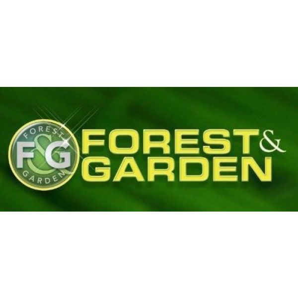 Motobomba A Nafta Forest & Garden Pro 9hp 242cc - Mg8040/2 - Imagen 2