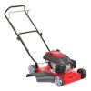Cortadora De Cesped Pasto Sin Rec 5hp Gardentec