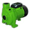 Bomba Centrifuga 2hp Forest Garden Bc921