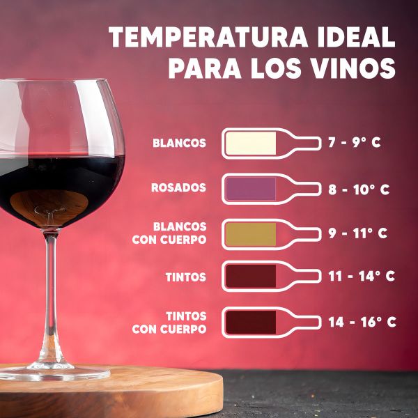 Enfriadora De Vinos Dual Zone Xion Xi-cava24 220v Kirkor - Imagen 5