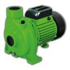 Bomba Centrifuga 2hp Forest Garden Bc921 - Imagen 2
