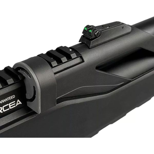 Rifle Chumbera Pcp T-rex 6,35mm + Inflador + Mira 3-9x40 Ben - Imagen 5