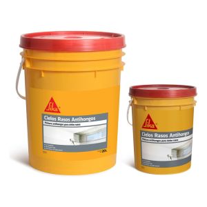 Combo Cielos Rasos Antihongos Sika 20kg + 4kg