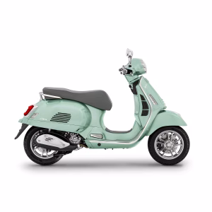 Moto GTS 310