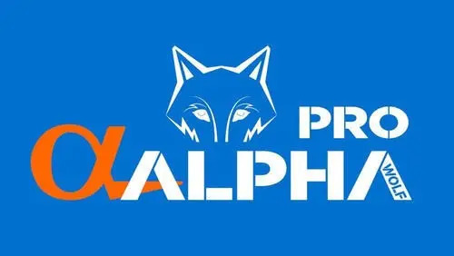 Motosierra Industrial Alpha Pro 20 58cc Piston Cromado Kirko - Imagen 2