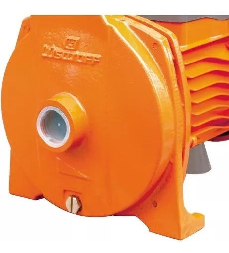 Bomba De Agua Centrífuga 1hp Electrobomba Lusqtoff - Imagen 2