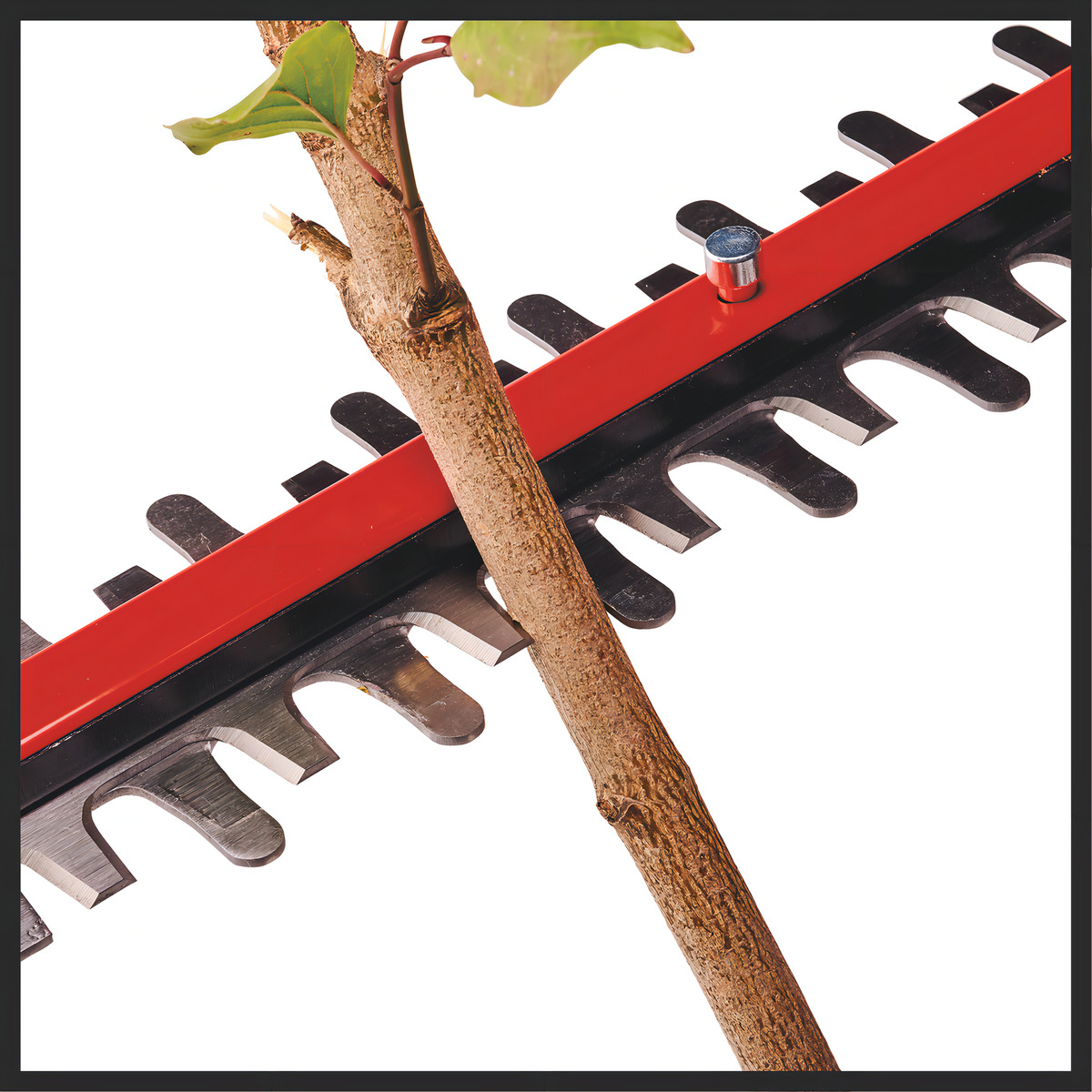 Corta Cerco Inalámbrico Longitud Corte 650mm Einhell - Imagen 5