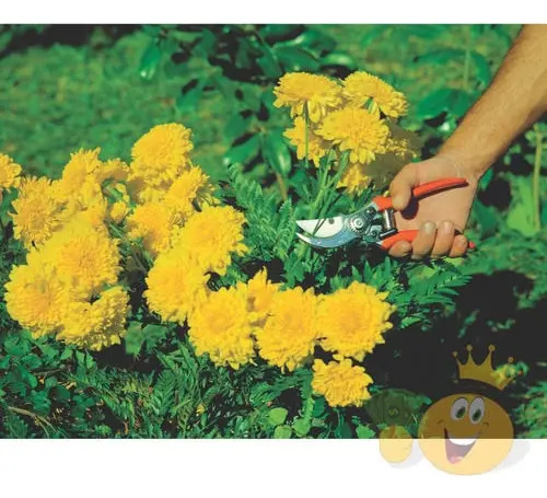 Kit Jardin Tramontina Tijera, Rastrillo, Escobilla, Regalos - Imagen 4