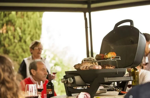 Parrilla Portatil Carbon Barbacoa Napoléon A Gas Kirkor - Imagen 6