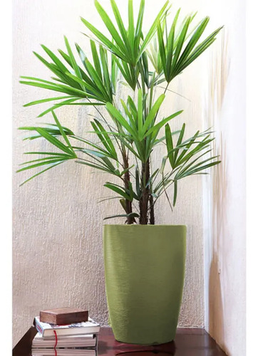 Maceta Thai O53 X 67cm. Verde Oliva - Imagen 2