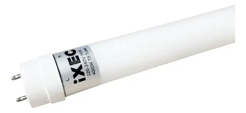 Tubo Led De Vidrio 10w 220-240v, Neutro - Ixec Ix2008